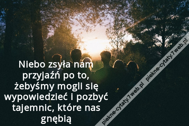 Niebo zsyła nam przyjaźń po to, żebyśmy mogli się wypowiedzieć i pozbyć tajemnic, które nas gnębią