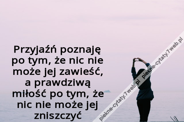 Przyjaźń poznaję po tym, że nic nie może jej zawieść, a prawdziwą miłość po tym, że nic nie może jej zniszczyć