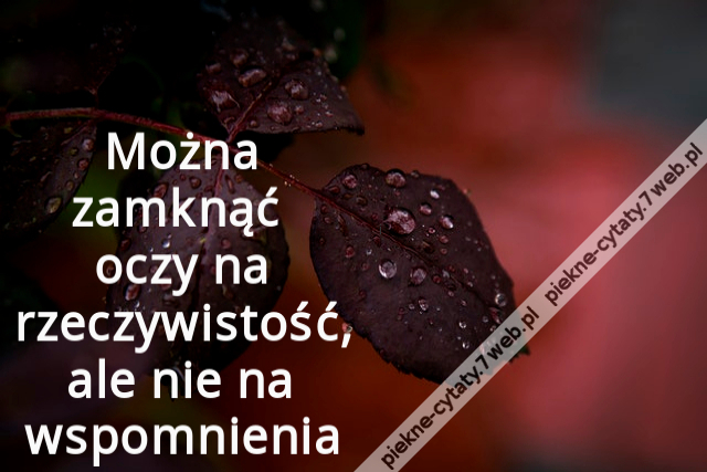 Można zamknąć oczy na rzeczywistość, ale nie na wspomnienia