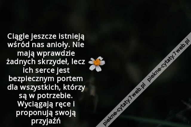 Ciągle jeszcze istnieją wśród nas anioły. Nie mają wprawdzie żadnych skrzydeł, lecz ich serce jest bezpiecznym portem dla wszystkich, którzy są w potrzebie. Wyciągają ręce i proponują swoją przyjaźń