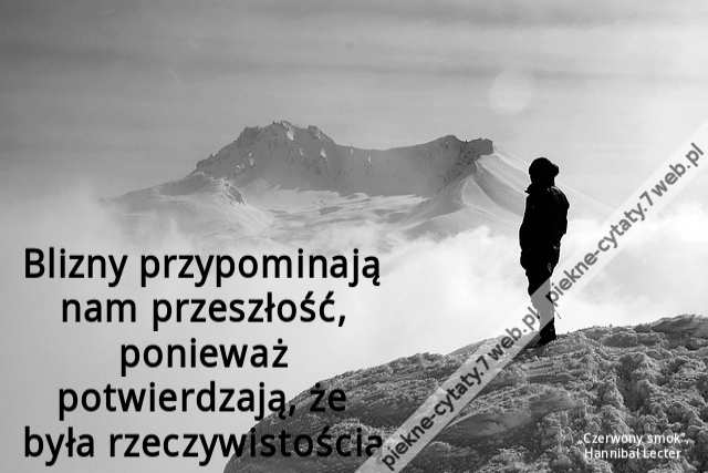 Blizny przypominają nam przeszłość, ponieważ potwierdzają, że była rzeczywistością.