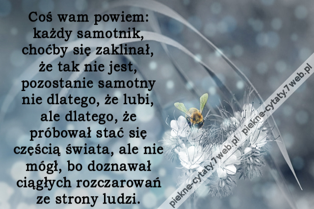 Coś wam powiem: każdy samotnik, choćby się zaklinał, że tak nie jest, pozostanie samotny nie dlatego, że lubi, ale dlatego, że próbował stać się częścią świata, ale nie mógł, bo doznawał ciągłych rozczarowań ze strony ludzi.