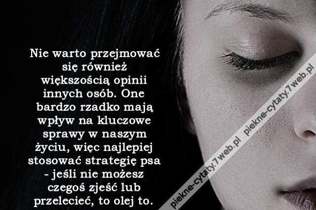 Nie warto przejmować się również większością opinii innych osób. One bardzo rzadko mają wpływ na kluczowe sprawy w naszym życiu, więc najlepiej stosować strategię psa - jeśli nie możesz czegoś zjeść lub przelecieć, to olej to.