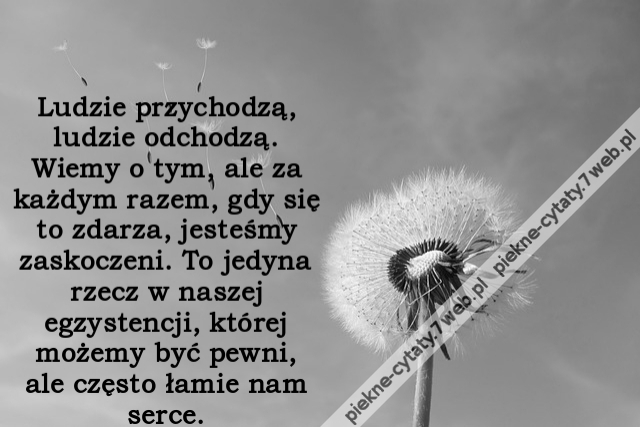 Ludzie przychodzą, ludzie odchodzą. Wiemy o tym, ale za każdym razem, gdy się to zdarza, jesteśmy zaskoczeni. To jedyna rzecz w naszej egzystencji, której możemy być pewni, ale często łamie nam serce.