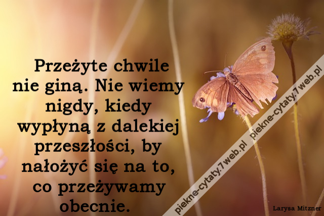 Przeżyte chwile nie giną. Nie wiemy nigdy, kiedy wypłyną z dalekiej przeszłości, by nałożyć się na to, co przeżywamy obecnie.