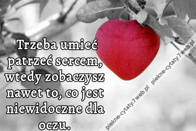 Trzeba umieć patrzeć sercem, wtedy zobaczysz nawet to, co jest niewidoczne dla oczu.