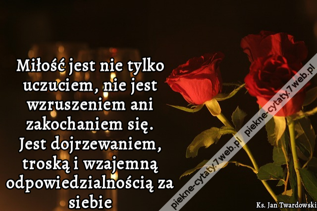 Miłość jest nie tylko uczuciem, nie jest wzruszeniem ani zakochaniem się. Jest dojrzewaniem, troską i wzajemną odpowiedzialnością za siebie.