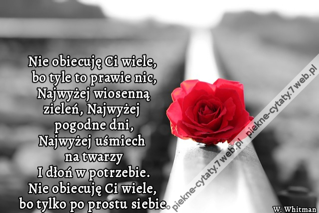 Nie obiecuję Ci wiele, bo tyle to prawie nic, Najwyżej wiosenną zieleń, Najwyżej pogodne dni, Najwyżej uśmiech na twarzy I dłoń w potrzebie. Nie obiecuję Ci wiele, bo tylko po prostu siebie.