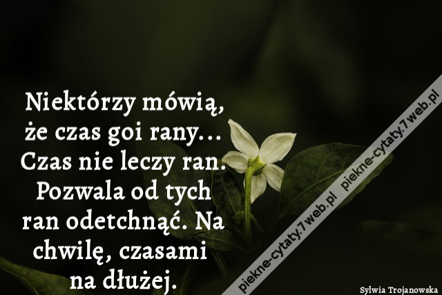 Niektórzy mówią, że czas goi rany... Czas nie leczy ran. Pozwala od tych ran odetchnąć. Na chwilę, czasami na dłużej.