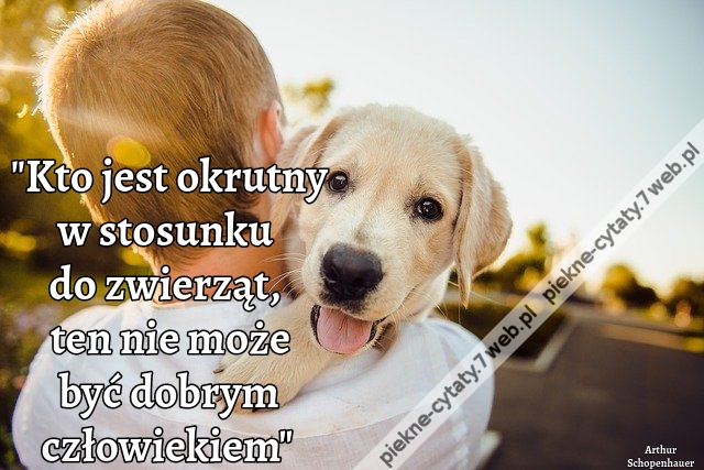 Kto jest ok­rutny w sto­sun­ku do zwierząt, ten nie może być dob­rym człowiekiem.