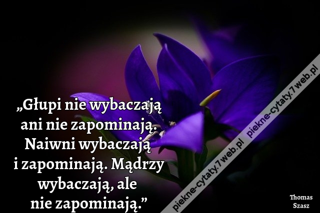 Głupi nie wybaczają ani nie zapominają. Naiwni wybaczają i zapominają. Mądrzy wybaczają, ale nie zapominają