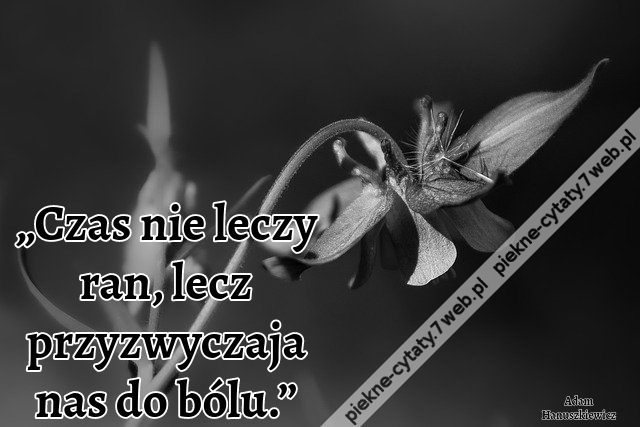 „Czas nie leczy ran, lecz przyzwyczaja nas do bólu.”