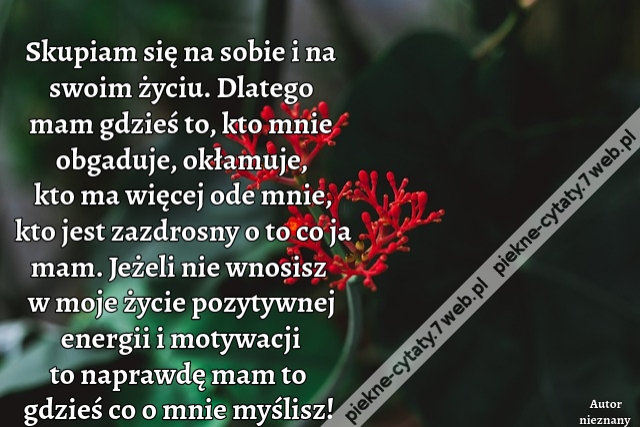 Skupiam się na sobie i na swoim życiu. Dlatego mam gdzieś to, kto mnie obgaduje, okłamuje, kto ma więcej ode mnie, kto jest zazdrosny o to co ja mam. Jeżeli nie wnosisz w moje życie pozytywnej energii i motywacji to naprawdę mam to gdzieś co o mnie myślis