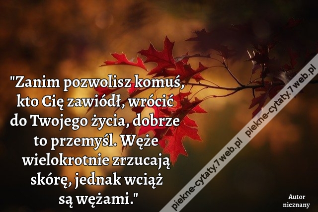 Zanim pozwolisz komuś, kto Cię zawiódł, wrócić do Twojego życia, dobrze to przemyśl. Węże wielokrotnie zrzucają skórę, jednak wciąż są wężami.