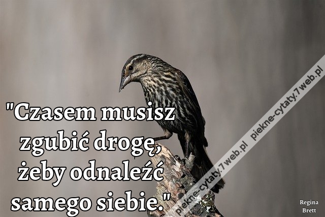 "Czasem musisz zgubić drogę, żeby odnaleźć samego siebie."