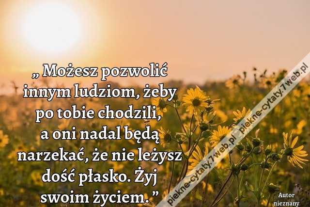 „ Możesz pozwolić innym ludziom, żeby po tobie chodzili, a oni nadal będą narzekać, że nie leżysz dość płasko. Żyj swoim życiem. ”