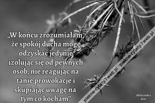 „W końcu zrozumiałam, że spokój ducha mogę odzyskać jedynie izolując się od pewnych osób, nie reagując na tanie prowokacje i skupiając uwagę na tym co kocham”