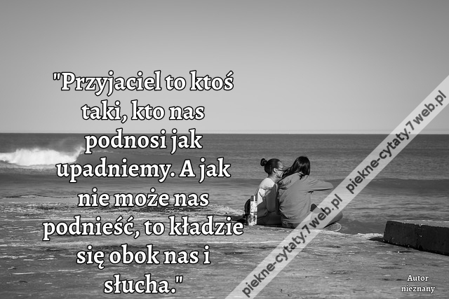 "Przyjaciel to ktoś taki, kto nas podnosi jak upadniemy. A jak nie może nas podnieść, to kładzie się obok nas i słucha."i