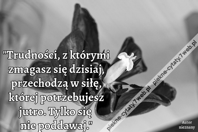 "Trudności, z którymi zmagasz się dzisiaj, przechodzą w siłę, której potrzebujesz jutro. Tylko się nie poddawaj."