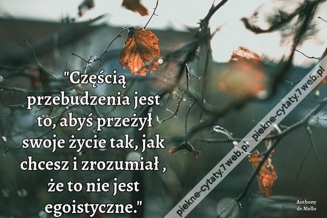 Częścią przebudzenia jest to, abyś przeżył swoje życie tak, jak chcesz i zrozumiał , że to nie jest egoistyczne.