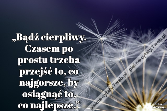 „Bądź cierpliwy. Czasem po prostu trzeba przejść to, co najgorsze, by osiągnąć to, co najlepsze.”