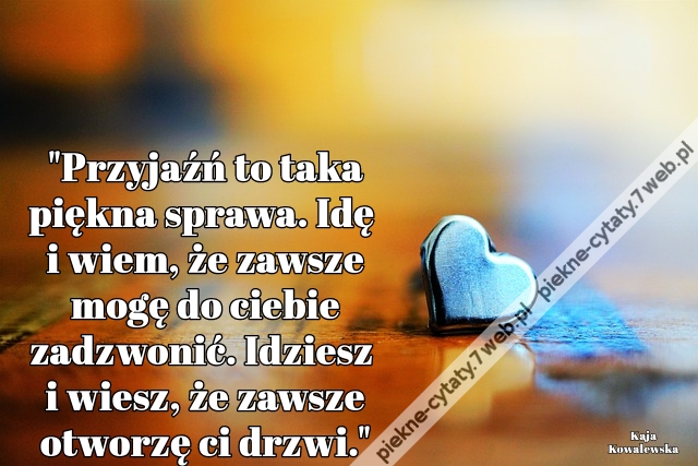 "Przyjaźń to taka piękna sprawa. Idę i wiem, że zawsze mogę do ciebie zadzwonić. Idziesz i wiesz, że zawsze otworzę ci drzwi."