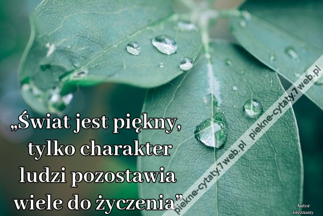 „Świat jest piękny, tylko charakter ludzi pozostawia wiele do życzenia”