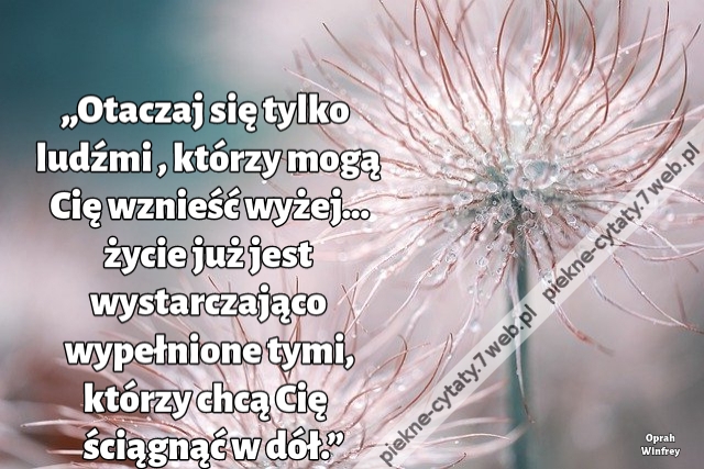 „Otaczaj się tylko ludźmi , którzy mogą Cię wznieść wyżej... życie już jest wystarczająco wypełnione tymi, którzy chcą Cię ściągnąć w dół.”