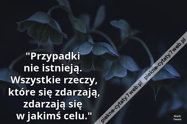 "Przypadki nie istnieją.  Wszystkie rzeczy, które się zdarzają, zdarzają się w jakimś celu."