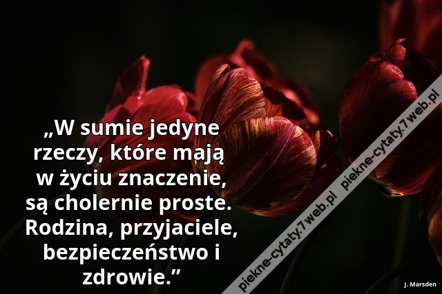 „W sumie jedyne rzeczy, które mają w życiu znaczenie, są cholernie proste.  Rodzina, przyjaciele, bezpieczeństwo i zdrowie.”