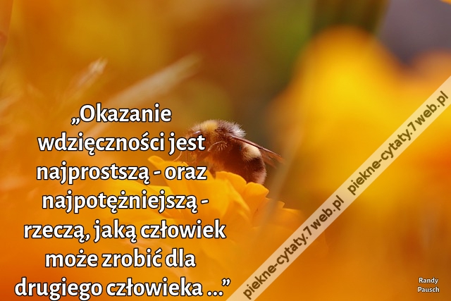 „Okazanie wdzięczności jest najprostszą - oraz najpotężniejszą - rzeczą, jaką człowiek może zrobić dla drugiego człowieka ...”