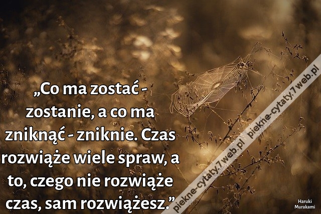 „Co ma zostać - zostanie, a co ma zniknąć - zniknie. Czas rozwiąże wiele spraw, a to, czego nie rozwiąże czas, sam rozwiążesz.”