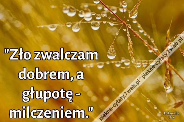 "Zło zwalczam dobrem, a głupotę - milczeniem."