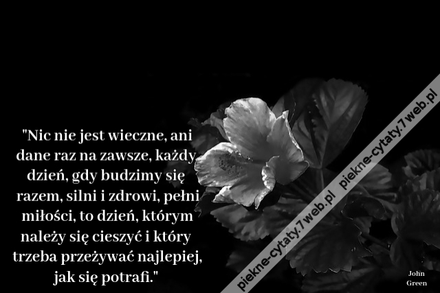 Nic nie jest wieczne, ani dane raz na zawsze, każdy dzień, gdy budzimy się razem, silni i zdrowi, pełni miłości, to dzień, którym należy się cieszyć i który trzeba przeżywać najlepiej, jak się potrafi.