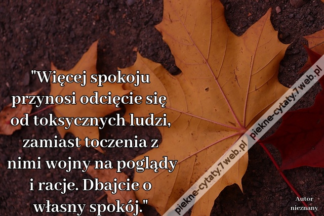 Więcej spokoju przynosi odcięcie się od toksycznych ludzi, zamiast toczenia z nimi wojny na poglądy i racje. Dbajcie o własny spokój.