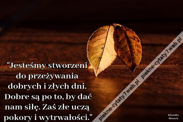 Jesteśmy stworzeni do przeżywania dobrych i złych dni. Dobre są po to, by dać nam siłę. Zaś źle uczą pokory i wytrwałości.