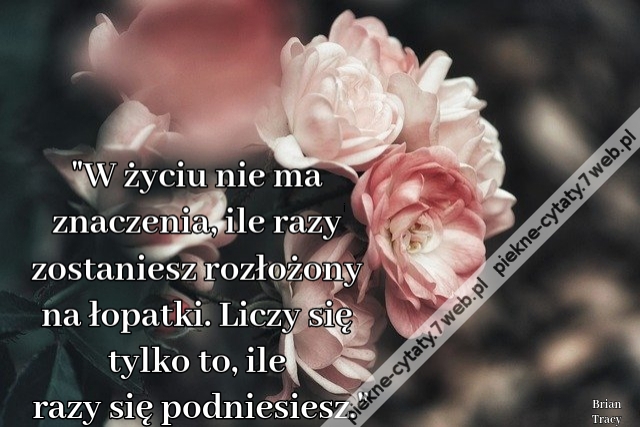 W życiu nie ma znaczenia, ile razy zostaniesz rozłożony na łopatki. Liczy się tylko to, ile razy się podniesiesz.