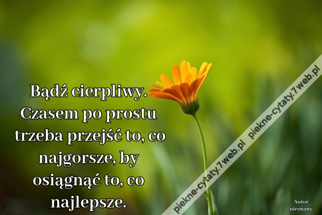 Bądź cierpliwy. Czasem po prostu trzeba przejść to, co najgorsze, by osiągnąć to, co najlepsze.