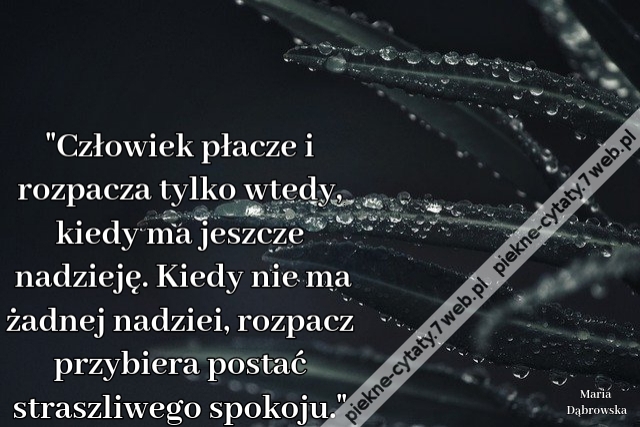 "Człowiek płacze i rozpacza tylko wtedy, kiedy ma jeszcze nadzieję. Kiedy nie ma żadnej nadziei, rozpacz przybiera postać straszliwego spokoju."