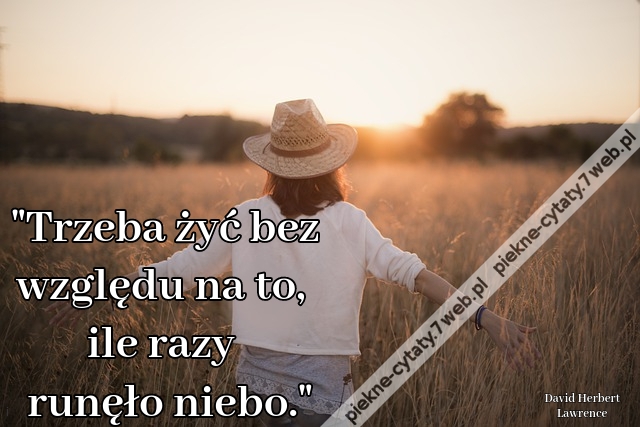 Trzeba żyć bez względu na to, ile razy runęło niebo.