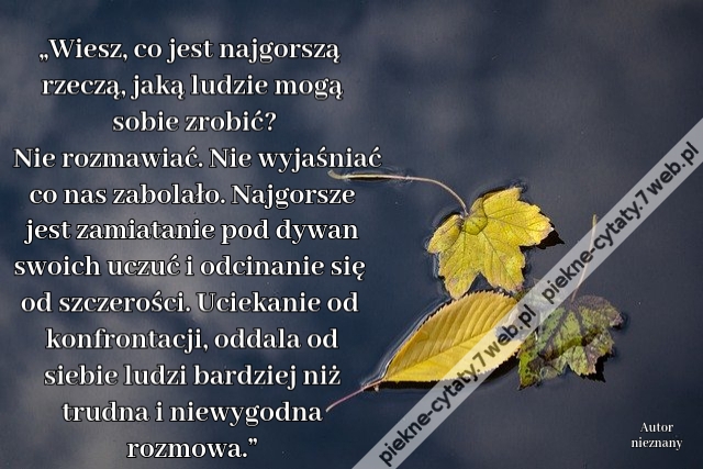 „Wiesz, co jest najgorszą rzeczą, jaką ludzie mogą sobie zrobić? Nie rozmawiać. Nie wyjaśniać co nas zabolało. Najgorsze jest zamiatanie pod dywan swoich uczuć i odcinanie się od szczerości. Uciekanie od konfrontacji, oddala od siebie ludzi bardziej niż t