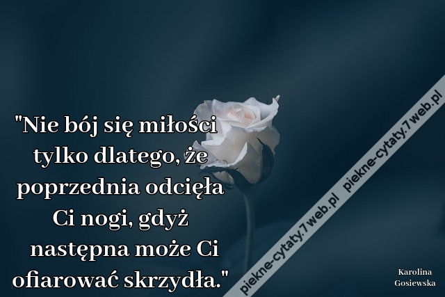 "Nie bój się miłości tylko dlatego, że poprzednia odcięła Ci nogi, gdyż następna może Ci ofiarować skrzydła."