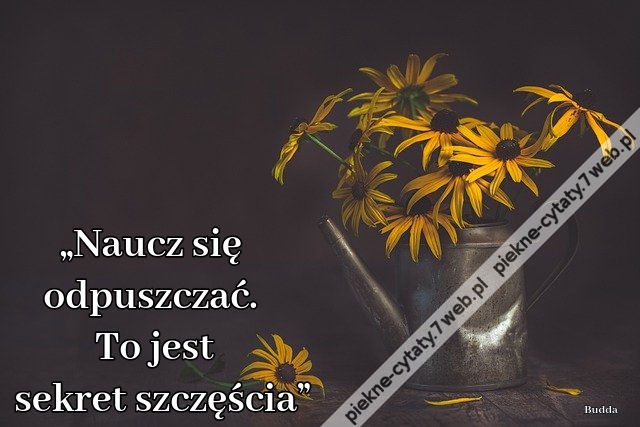 „Naucz się odpuszczać. To jest sekret szczęścia”