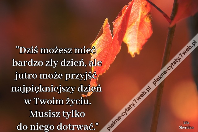 "Dziś możesz mieć bardzo zły dzień, ale jutro może przyjść najpiękniejszy dzień w Twoim życiu. Musisz tylko do niego dotrwać."