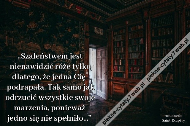 „Szaleństwem jest nienawidzić róże tylko dlatego, że jedna Cię podrapała. Tak samo jak odrzucić wszystkie swoje marzenia, ponieważ jedno się nie spełniło…”