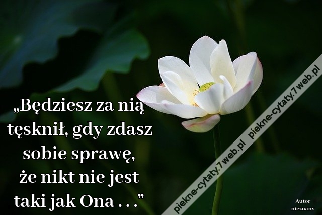 „Będziesz za nią tęsknił, gdy zdasz sobie sprawę, że nikt nie jest taki jak Ona . . .”