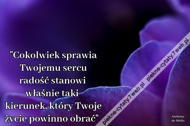 "Cokolwiek sprawia Twojemu sercu radość stanowi właśnie taki kierunek, który Twoje życie powinno obrać"