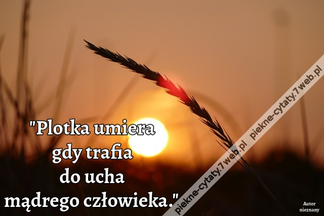 Plotka umiera gdy trafia do ucha mądrego człowieka.