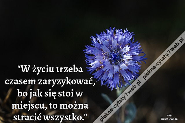 "W życiu trzeba czasem zaryzykować, bo jak się stoi w miejscu, to można stracić wszystko."