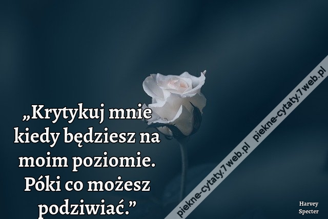 „Krytykuj mnie kiedy będziesz na moim poziomie. Póki co możesz podziwiać.”